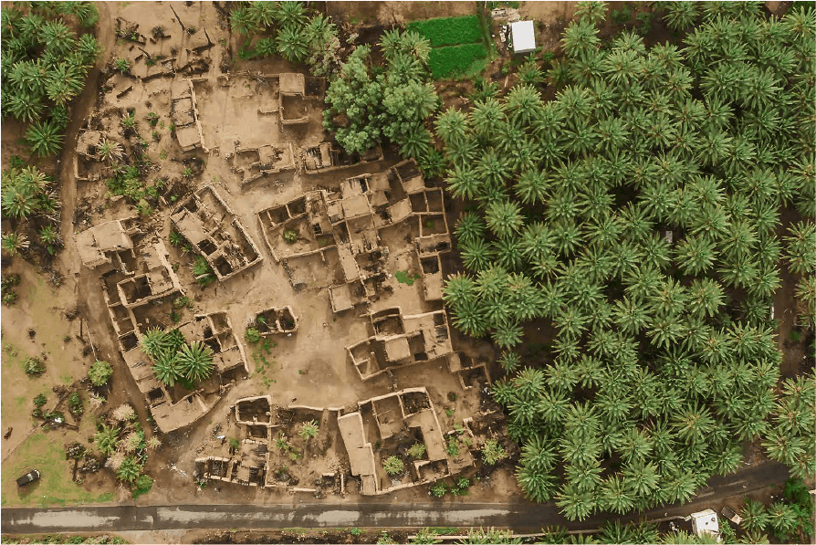 نكهات محلية