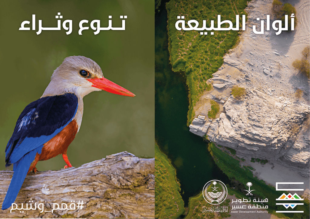 تنوع وثراء