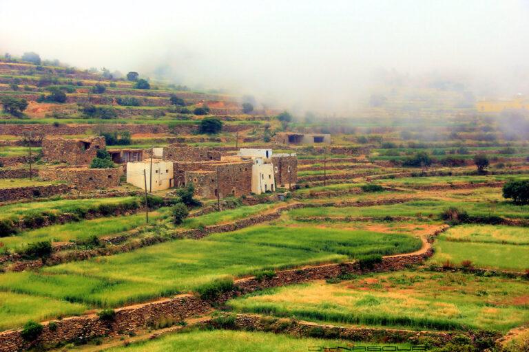 Al Ja’al and Al Ubaid